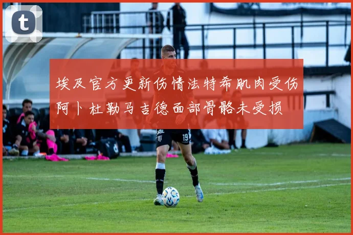 埃及官方更新伤情法特希肌肉受伤阿卜杜勒马吉德面部骨骼未受损